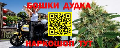 apvp Лесосибирск