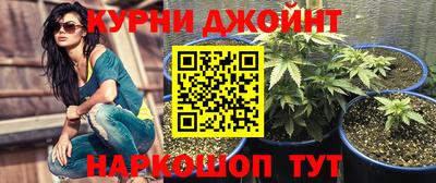 apvp Лесосибирск