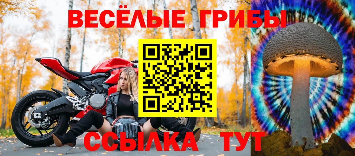 Псилоцибиновые грибы GOLDEN TEACHER Димитровград